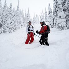 Skogs&aring;kning strax utanf&ouml;r Fernie. En av dom f&aring; . Foto: Thomas. &Aring;kare: Jag och Nancy.