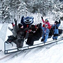 Jag p&aring; min praktik. Loffe &auml;r en riktigt mysig bj. Foto: Steen Karlsson.
