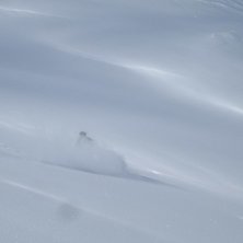 Foto: Kalle Ritz&eacute;n. &Aring;kare: Edward.