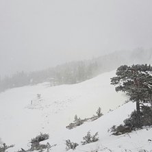 Det sn&oslash;r og vi har &aring;pent hver dag
Kulda har komm.
