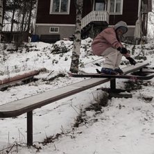 &Aring;kare: carolina steen.