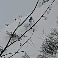 Foto: Felix Grunert. &Aring;kare: Rikard Lindblad.