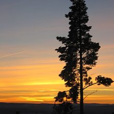 Foto: Mattias J&ouml;nsson.