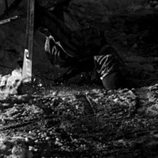 Foto: Fredrik Bergqvist.