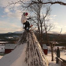 k&aring;t(a). Foto: dejnial. &Aring;kare: TEKU.