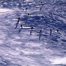 Foto: Rikard Andersson.