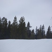 Foto: Joel. &Aring;kare: Simon.