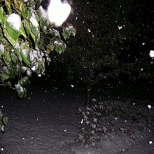 F&ouml;rsta sn&ouml;n f&ouml;r i &aring;r h&auml;r :D. Foto: Hampus Persson.