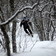 Foto: Timmy Kristoffersson. &Aring;kare: Magnus Karlsson.