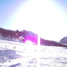 Bs 180 nosegrab. &Aring;kare: Josefine &Aring;hrberg.
