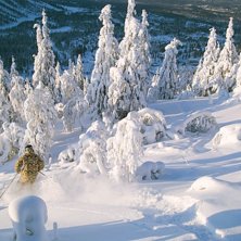 Foto: malena. &Aring;kare: jag.