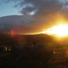 Fj&auml;llen &auml;r inte fy skam p&aring; sensommaren heller... Foto: Axel H&auml;llstr&ouml;m.