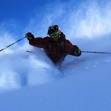 Finpuder p&aring; baksidan rendl. Foto: Robin Cedvin. &Aring;kare: Eric Westling.