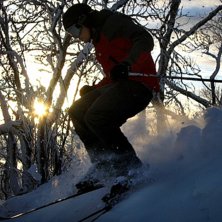 Jag tar mig en tur ner bland 
sm&aring;bj&ouml;rknarna. Foto: Christine Holm. &Aring;kare: Tobias Ivarsson.