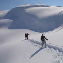 p&aring; telisar i ov&auml;ntat puder o sk&ouml;na m&auml;nnsikor. Foto: Joakim Larson. &Aring;kare: Lisen o pojkar.