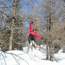 Arne leker i skogen.. Foto: Odd Roar Salamonsen. &Aring;kare: Arne Peder Blix.