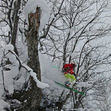 Higashi One BC! And some Treeskiing........... Foto: Henke Liljeqvist. &Aring;kare: Robert Hortlund.