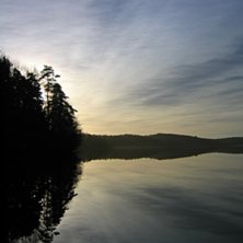 Tog bilden under en dag n&auml;r jag var sjuk. . Foto: Viktor &Aring;sander. &Aring;kare: Ingen.