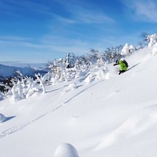 Foto: Johan Palmqvist. &Aring;kare: Linus Svensson.