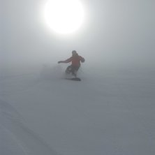 In i dimman bara.... Foto: Martin Livian. &Aring;kare: Martin Nor&eacute;n.