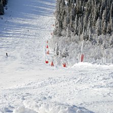 Foto: Daniel Jansson.