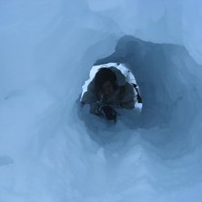 Foto: Lars Mog&aring;rd.