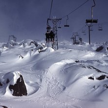 Åkare:  Foto: Olow Swärd