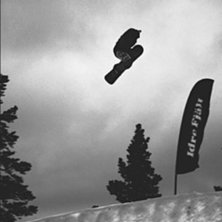 Foto: &aring;sk&aring;dare. &Aring;kare: svartepetter.