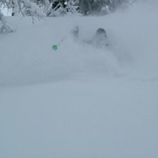 Djup puder i den glesa l&auml;rkskogen i Bruson. Foto: Eric Gillberg. &Aring;kare: Peter Elofson.