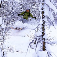 Skogs&aring;kning rules!. Foto: Juha Laine. &Aring;kare: Tobias Liljeroth.
