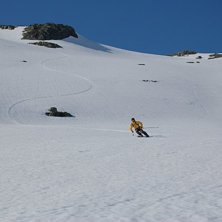 Stooora sv&auml;ngar. Foto: Oskar &Aring;slund. &Aring;kare: Simon B&ouml;rjars.