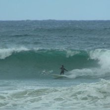 Foto: Johan &Ouml;hlund. &Aring;kare: Sydney-surfare.