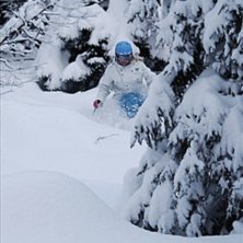 Foto: Johan Olsson. &Aring;kare: Hanna Skogsberg.