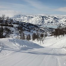 P&aring;sken i bilder. Skogl&oslash;ypa fra topen av t-krokhe.