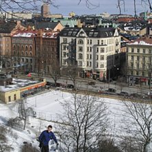P&aring; topptur i Observatorielunden. Totalt tog vi 17. Foto: Henrik Persson. &Aring;kare: Anders Johansson.