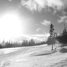 Foto: Malin Qvarfordt.