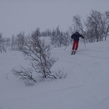Steffo &aring;ker lite off-pist...tyv&auml;rr inget vidare . Foto: Christian Skoog. &Aring;kare: Stefan Jarbring.