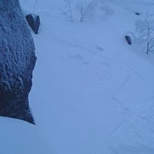 B&ouml;rjan av r&auml;nnan kan vara isig. Foto: tryggve tiren.