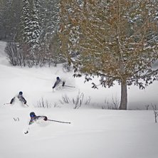 Det kom lite sn&ouml;!. Foto: Martin Nyberg. &Aring;kare: Albert Olsson.