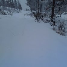 Det sn&oslash;r :)
Vi har f&aring;et ca. 10 -15 cm sn&oslash; det s.