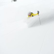 Foto: Daniel &Aring;nskog. &Aring;kare: Nils hallgren.