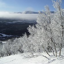 Foto: Andr&eacute; Sandstr&ouml;m.