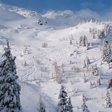 Foto: Ane Christophersen. &Aring;kare: 5 stk.