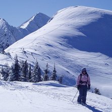 P&aring; kammen, mot ett &aring;k med mjuka sv&auml;ngar. I bakg. Foto: Jonas Persson. &Aring;kare: Hanna Ekelund.