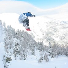 Ett stort sk&ouml;nt naturhopp. Foto: Filip. &Aring;kare: Me.