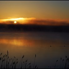 Foto: Simon Pont&eacute;r.