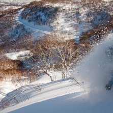 Foto: Johan Karlsson. &Aring;kare: Tomas Halvarsson.