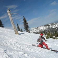 Ei fin jente p&aring; en fin dag i Schweitzer, North Id. Foto: Joakim Sch&auml;rer &Oslash;sthus. &Aring;kare: Johanna Bech.
