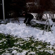 hade till preem. Foto: M&aring;nsLorentsson. &Aring;kare: &Aring;ke beryll.