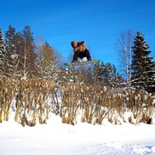 stalefish. Foto: Mor. &Aring;kare: Tim Linng&aring;rd.